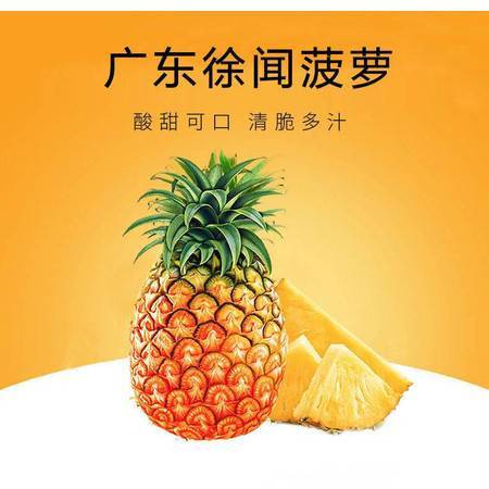 徐聞鳳梨 嶺南佳果，香甜禮贈(zèng)——探秘廣東特產(chǎn)新鮮大菠蘿