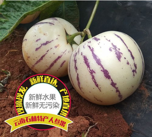 當(dāng)季至鮮 云南黑鉆蜜芒5斤裝的舌尖禮贊